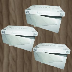 Wedding Dress Box - Cream & Silver Single  33' L x 23' W x 9' H Pack Of 3